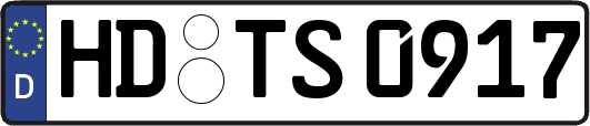 HD-TS0917