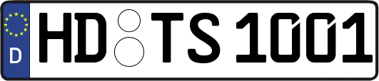 HD-TS1001