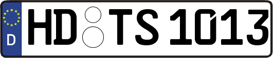 HD-TS1013
