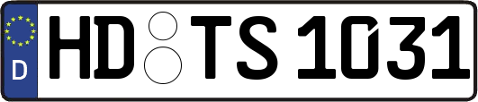 HD-TS1031