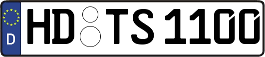 HD-TS1100