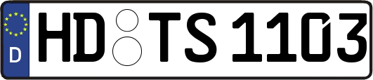 HD-TS1103