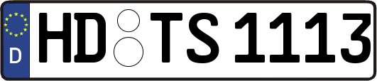 HD-TS1113