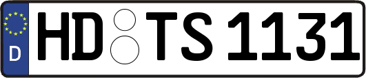 HD-TS1131