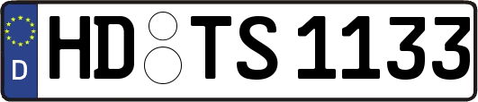 HD-TS1133