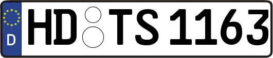 HD-TS1163
