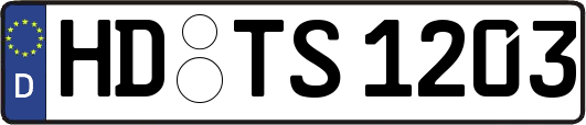 HD-TS1203