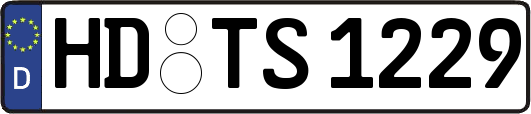 HD-TS1229