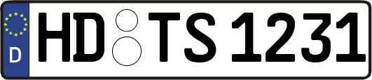 HD-TS1231