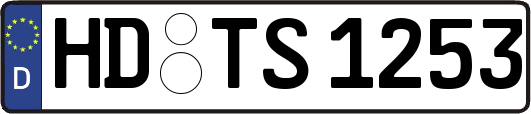 HD-TS1253