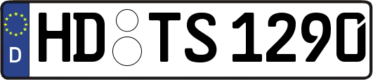 HD-TS1290