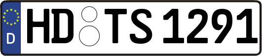 HD-TS1291