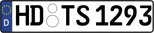 HD-TS1293
