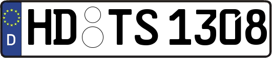 HD-TS1308