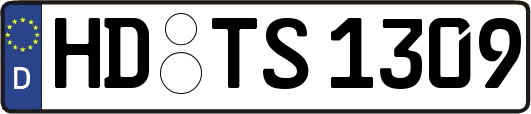 HD-TS1309