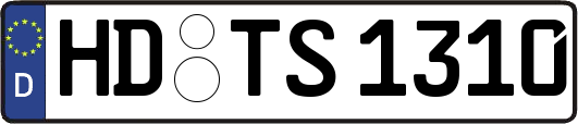 HD-TS1310