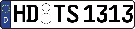 HD-TS1313