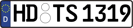 HD-TS1319