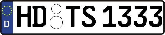 HD-TS1333