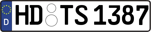 HD-TS1387