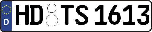 HD-TS1613