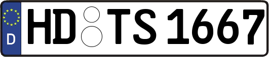 HD-TS1667