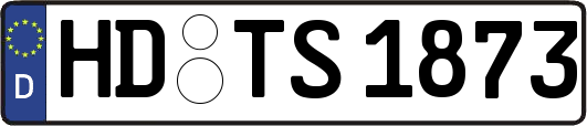 HD-TS1873