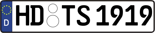 HD-TS1919