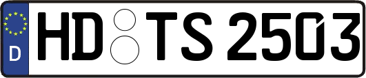 HD-TS2503