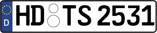 HD-TS2531