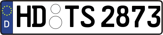 HD-TS2873