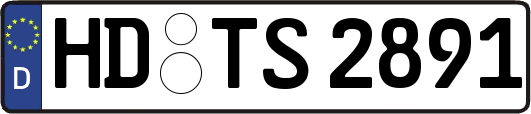 HD-TS2891