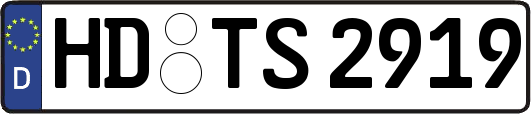HD-TS2919