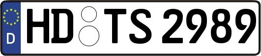HD-TS2989