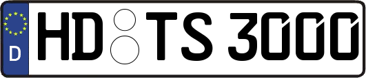 HD-TS3000