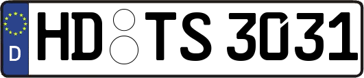 HD-TS3031