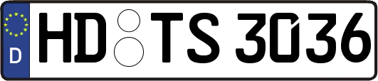 HD-TS3036