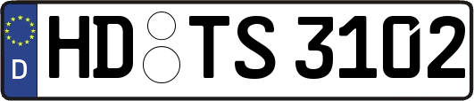 HD-TS3102