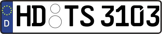 HD-TS3103