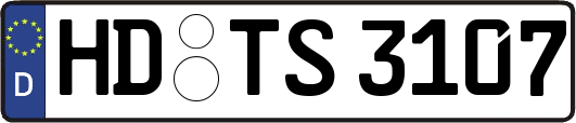 HD-TS3107