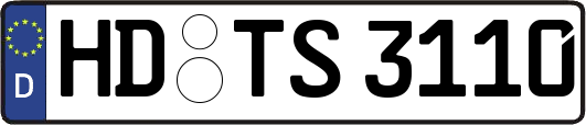 HD-TS3110