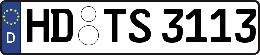 HD-TS3113
