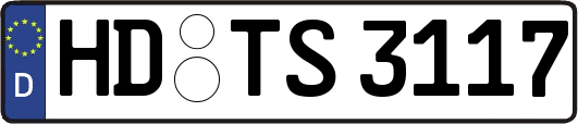 HD-TS3117