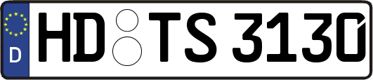 HD-TS3130