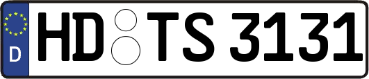 HD-TS3131