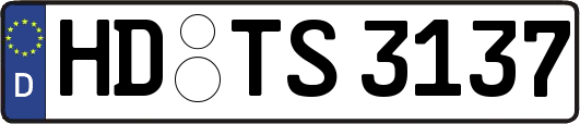 HD-TS3137