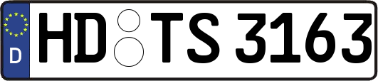HD-TS3163