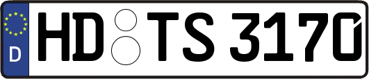 HD-TS3170