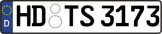 HD-TS3173