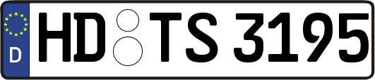 HD-TS3195